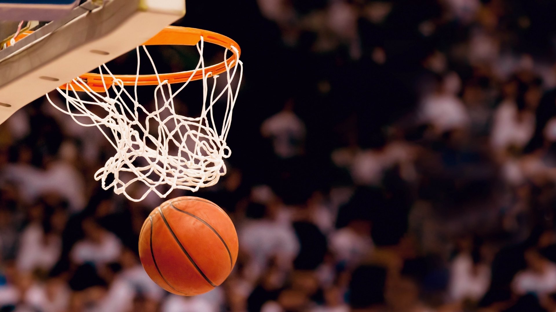 体育江湖大乱斗,里尔备战NBA、马刺苦练法国杯、国王杯强敌压境,球迷集体懵圈